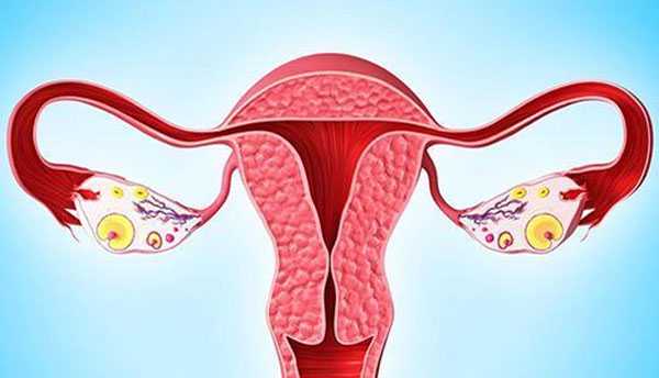 代生孩子如何上户口,经阴道B超检查能看些什么，一个试管婴儿周期多达10余次