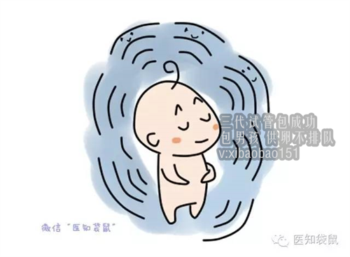 广西男男供卵试管费用，怀孕两个月，检查没有胎心胎芽，只有个空壤？这是什